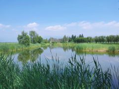 -野鸭湖国家湿地公园