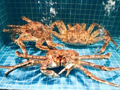 -海味世家·家常菜馆(明州里店)