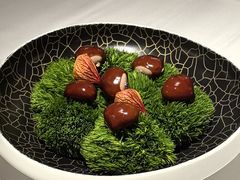 -鹿园 MOOSE(长宁店)