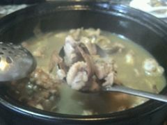 -蘑统田下·野生菌火锅