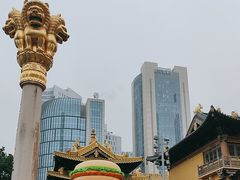 -麦当劳(静安寺店)