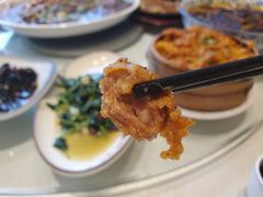 -新概念来凤鱼(璧山店)