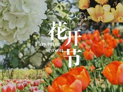 -无锡梅园公园