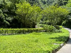 -重庆神龙峡漂流