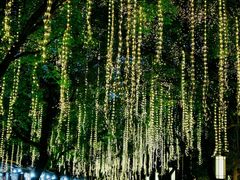 -大雁塔北广场音乐喷泉