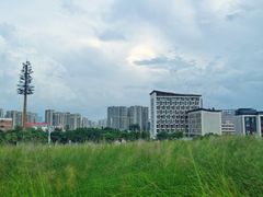 -红花山公园
