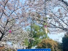 -堤角公园