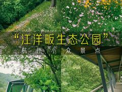 -西湖风景区-江洋畈生态公园