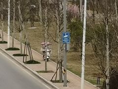 -中科大东区东苑餐厅(天使路店)