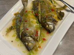 -百年银屏蚝烙·潮汕菜·非遗(乐山店)