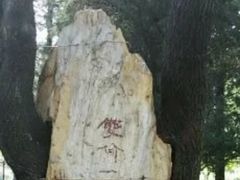 -双榆树公园