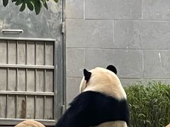 -石排湾郊野公园