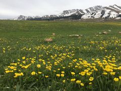 -新疆那拉提国家旅游度假区