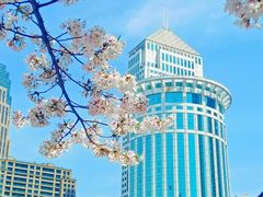 -西北湖绿化广场