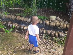 -呀路古热带植物园