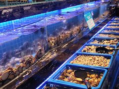 -喜庭海鲜自助(深圳万丰海岸城店)