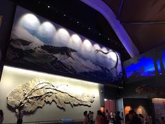 -贝林大翅鲸简餐厅(国家海洋博物馆店)