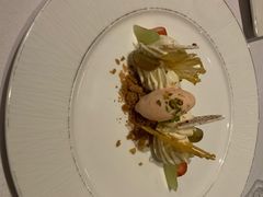 -蝶舍·MAISON PAPILLON