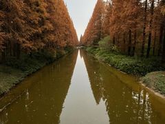 -黄海国家森林公园