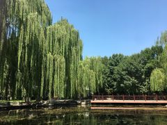 -玲珑塔公园