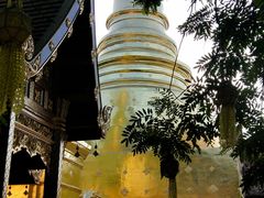 景点-帕辛寺