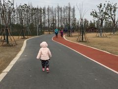 -上海长兴岛郊野公园