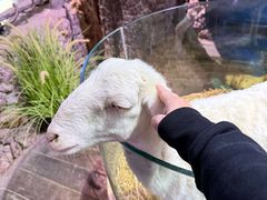 -正佳雨林生态植物园