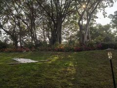 -深圳国际园林花卉博览园