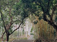 -厦门大学(思明校区)