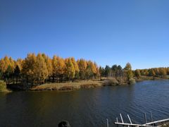 -塞罕坝国家级自然保护区