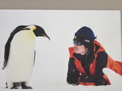 -罗红摄影艺术馆