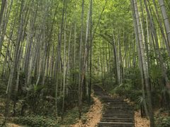 -南山风景名胜区