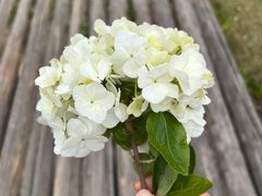 -Angel Garden天使花园幼儿园