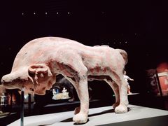 -大同市博物馆