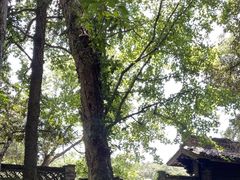 -富春桃源风景区