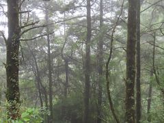 -苍山感通索道