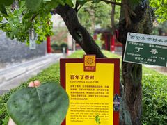 -西安市广仁寺