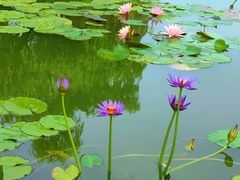 -国家植物园南园