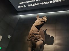 -浙江自然博物院(杭州馆)