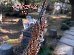 -千岛湖东南湖区