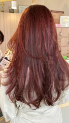 -GRAVITY HAIR 地心引力
