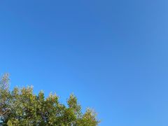 -星巴克臻选(深圳卓悦中心店)