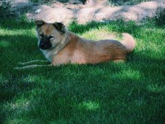 -永定河休闲森林公园