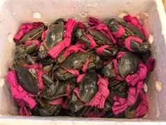 -秦记香辣蟹(松榆里店)