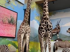 -陕西自然博物馆