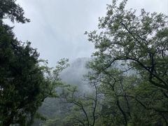 -泰山风景名胜区