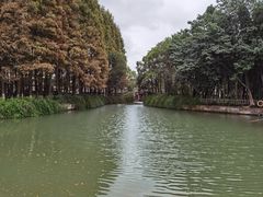 -乌镇东栅景区