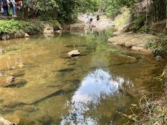 -广州白江湖森林公园