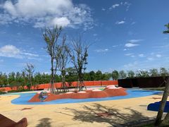 -春花秋色城市公园