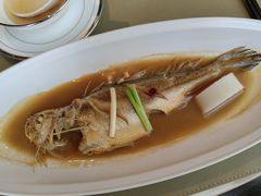 鲳鱼烧年糕-新荣记(新源南路店)